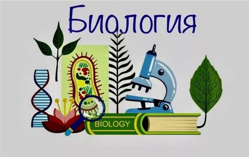 Образовательная программа Олимпиадная биология.
